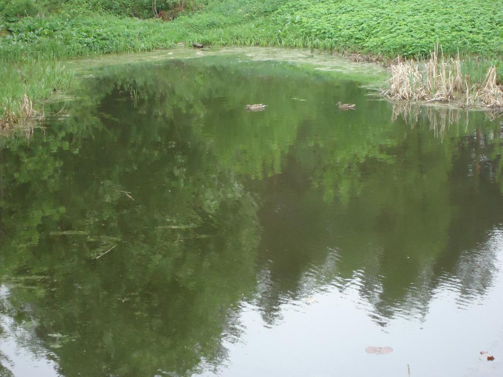 Homestay Roja Wilno Zewnętrze zdjęcie