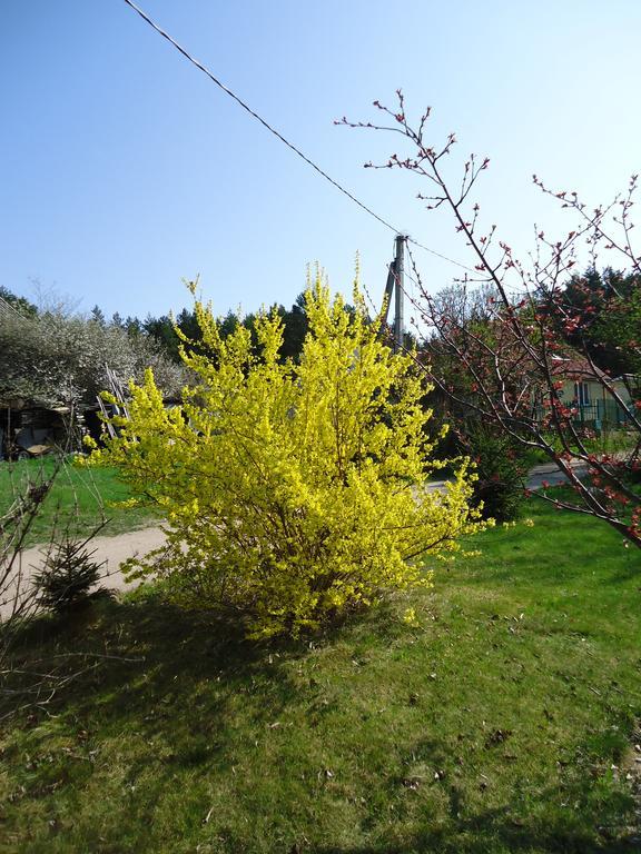 Homestay Roja Wilno Zewnętrze zdjęcie