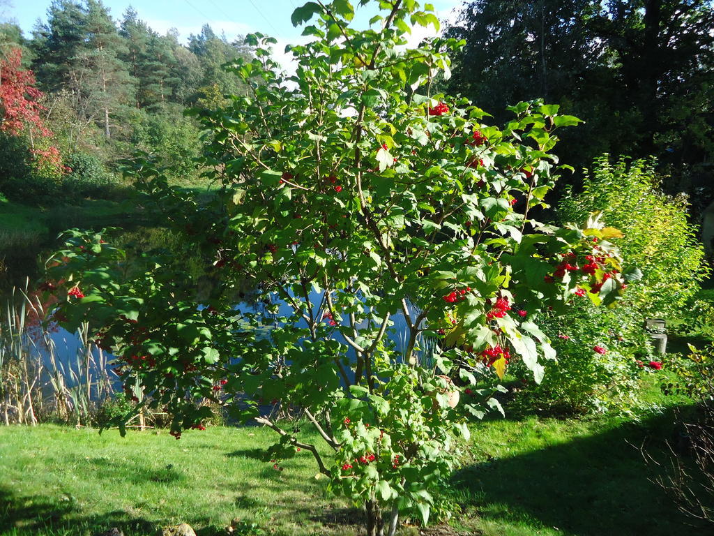 Homestay Roja Wilno Zewnętrze zdjęcie