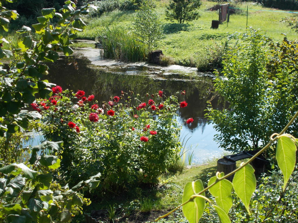 Homestay Roja Wilno Zewnętrze zdjęcie