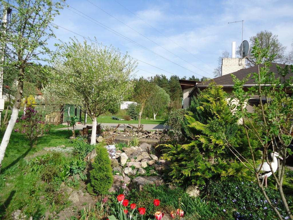 Homestay Roja Wilno Zewnętrze zdjęcie